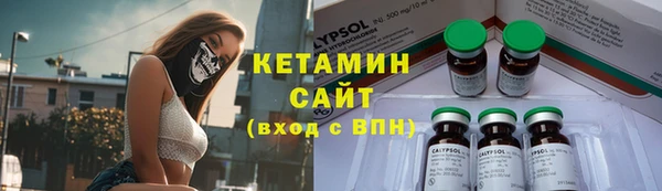прущие грибы Краснослободск