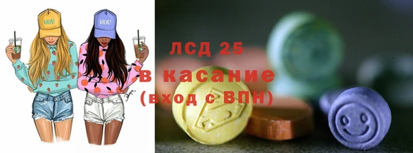 прущие грибы Краснослободск