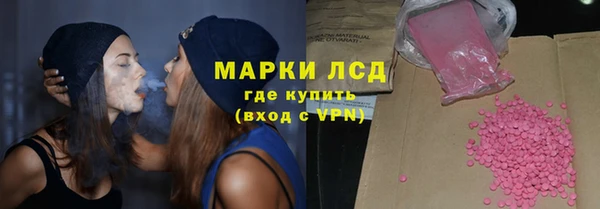 прущие грибы Краснослободск