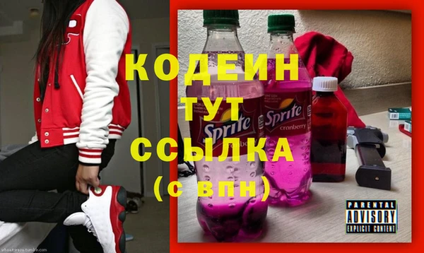 прущие грибы Краснослободск